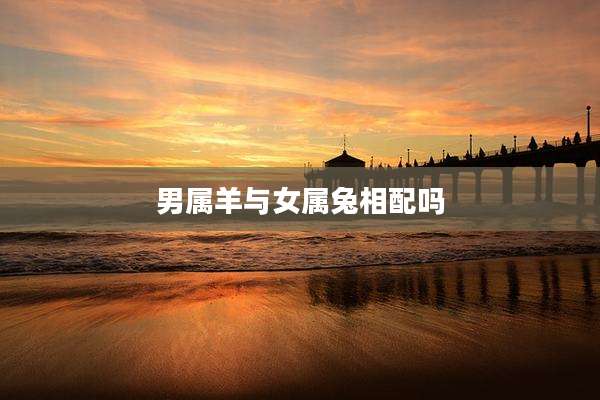 男属羊与女属兔相配吗