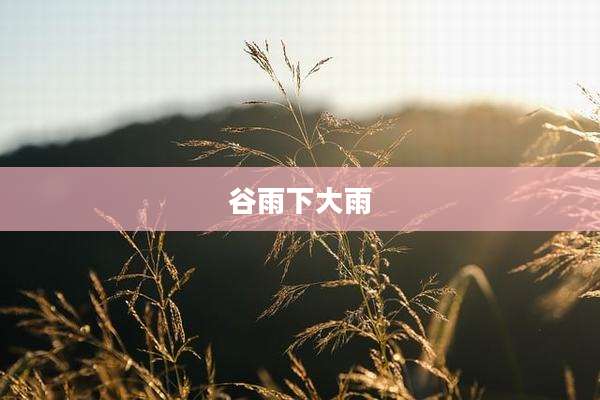 谷雨下大雨