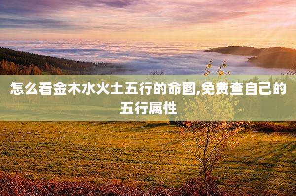 怎么看金木水火土五行的命图,免费查自己的五行属性