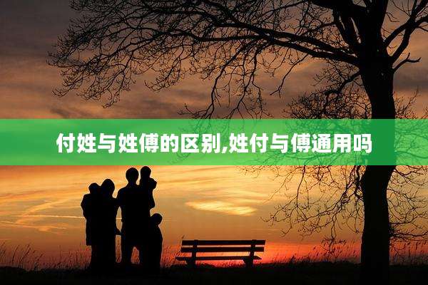 付姓与姓傅的区别,姓付与傅通用吗
