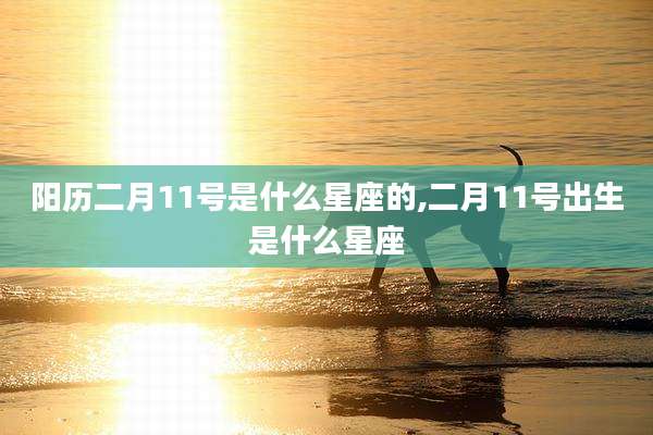 阳历二月11号是什么星座的,二月11号出生是什么星座