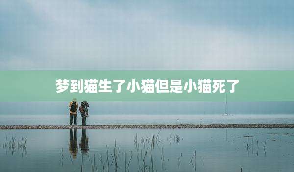 梦到猫生了小猫但是小猫死了