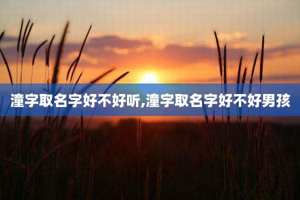 潼字取名字好不好听,潼字取名字好不好男孩