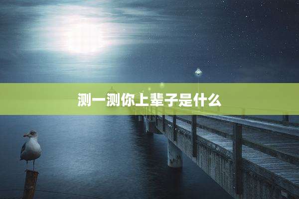 测一测你上辈子是什么