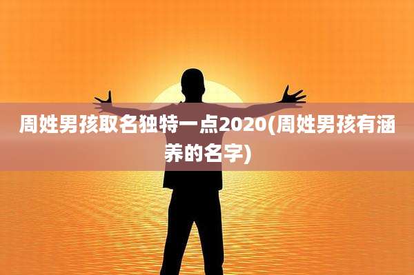 周姓男孩取名独特一点2020(周姓男孩有涵养的名字)