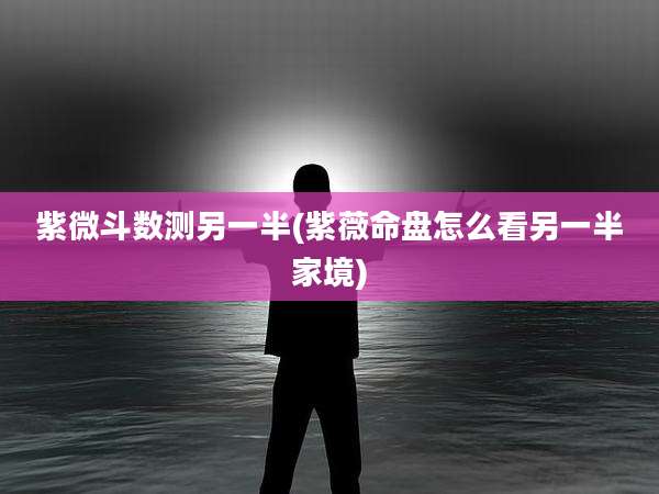 紫微斗数测另一半(紫薇命盘怎么看另一半家境)
