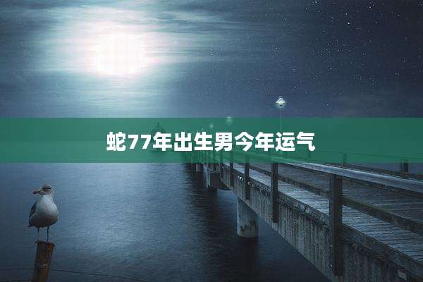 蛇77年出生男今年运气