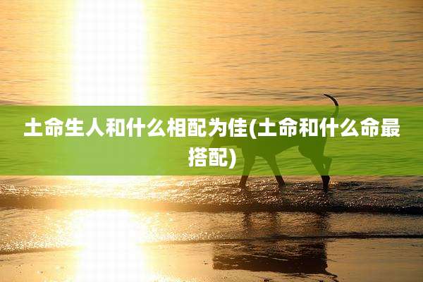 土命生人和什么相配为佳(土命和什么命最搭配)