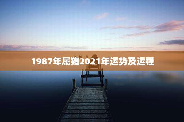 1987年属猪2021年运势及运程