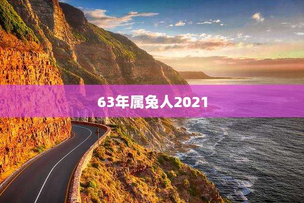 63年属兔人2021
