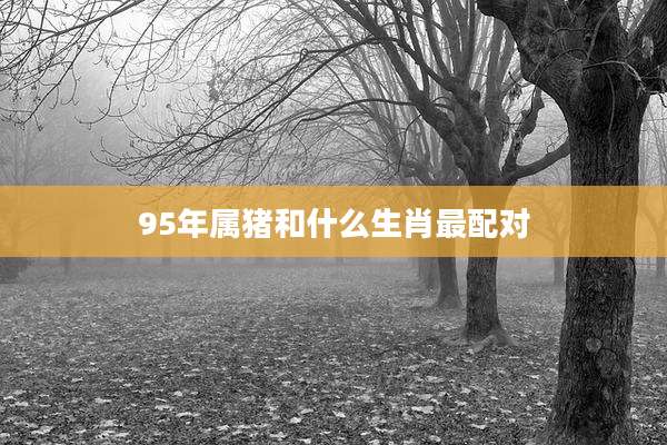 95年属猪和什么生肖最配对