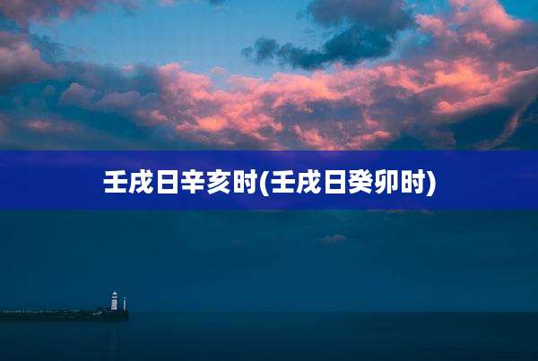 壬戌日辛亥时(壬戌日癸卯时)
