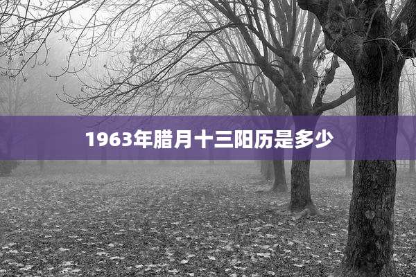 1963年腊月十三阳历是多少