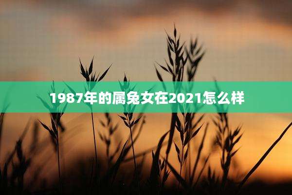 1987年的属兔女在2021怎么样