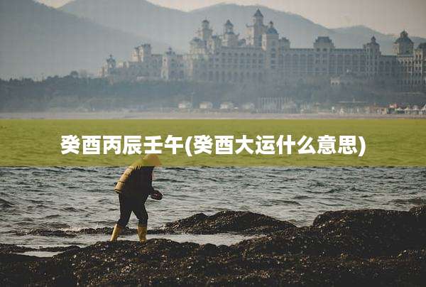 癸酉丙辰壬午(癸酉大运什么意思)