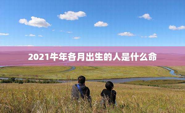 2021牛年各月出生的人是什么命