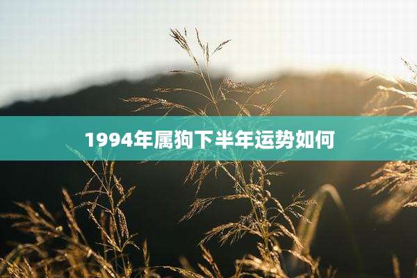 1994年属狗下半年运势如何