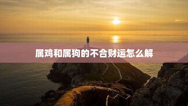 属鸡和属狗的不合财运怎么解