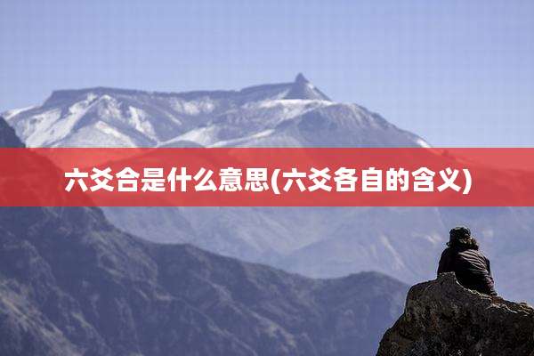 六爻合是什么意思(六爻各自的含义)