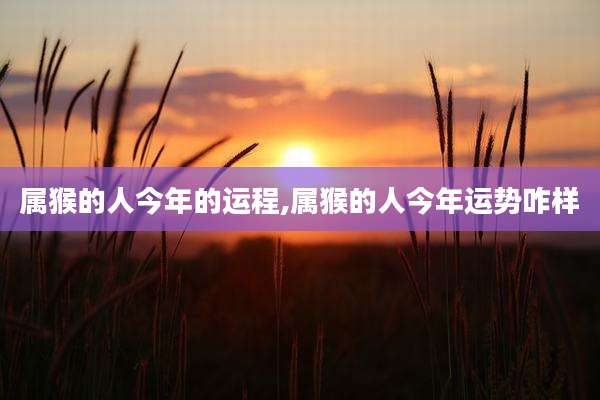 属猴的人今年的运程,属猴的人今年运势咋样