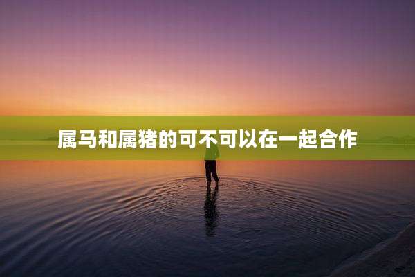 属马和属猪的可不可以在一起合作