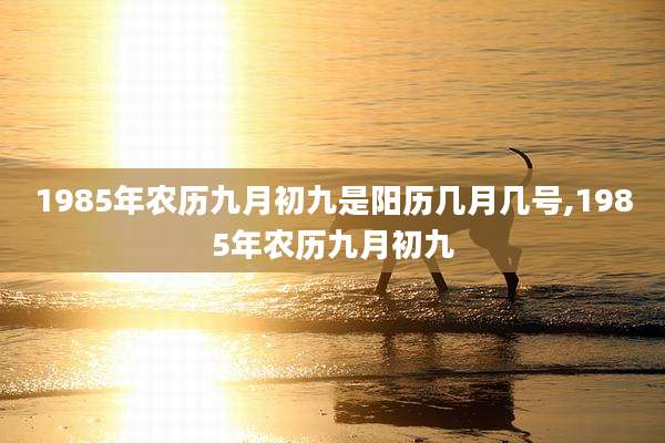 1985年农历九月初九是阳历几月几号,1985年农历九月初九