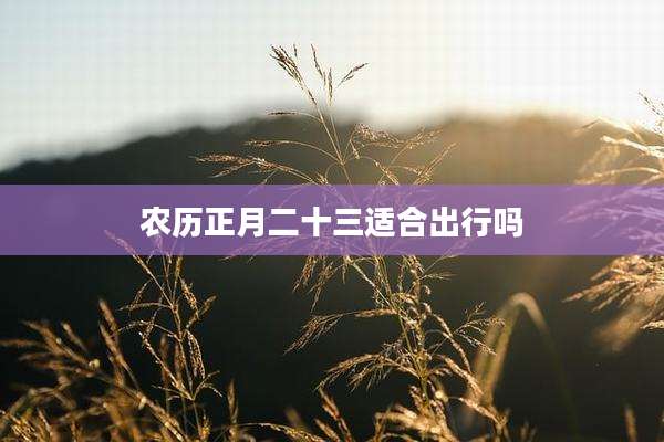 农历正月二十三适合出行吗