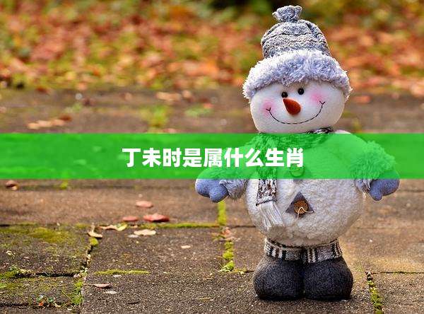 丁未时是属什么生肖