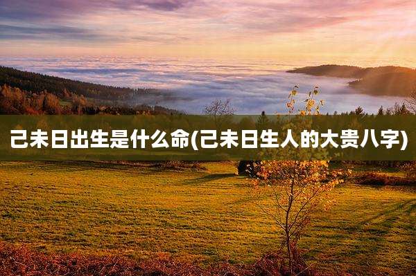 己未日出生是什么命(己未日生人的大贵八字)