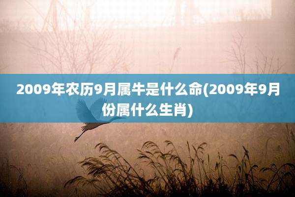 2009年农历9月属牛是什么命(2009年9月份属什么生肖)