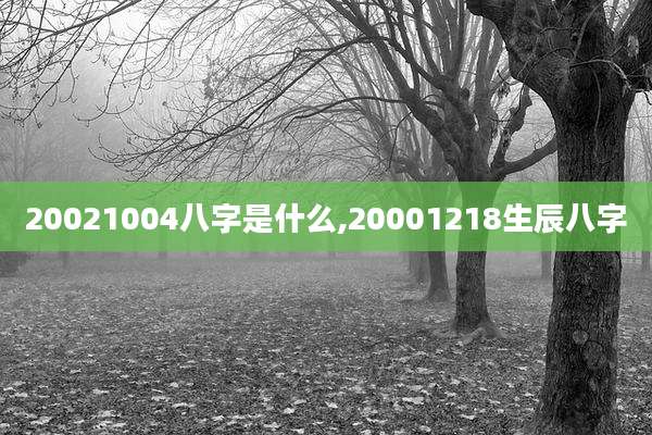 20021004八字是什么,20001218生辰八字