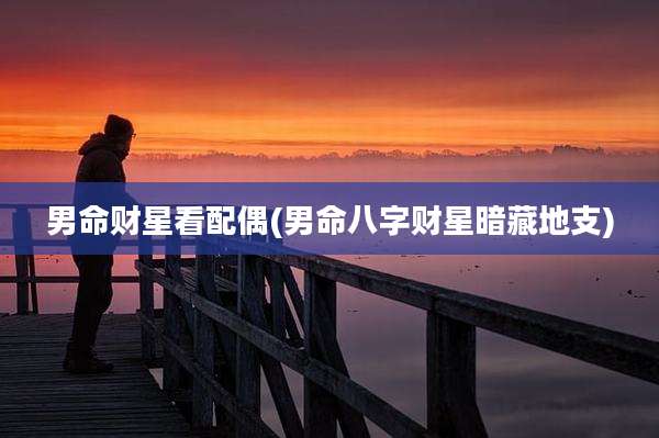 男命财星看配偶(男命八字财星暗藏地支)