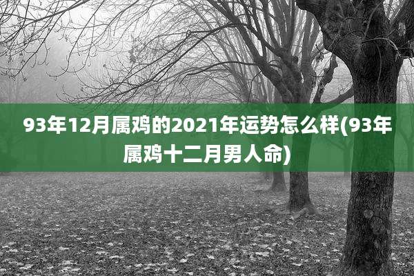 93年12月属鸡的2021年运势怎么样(93年属鸡十二月男人命)