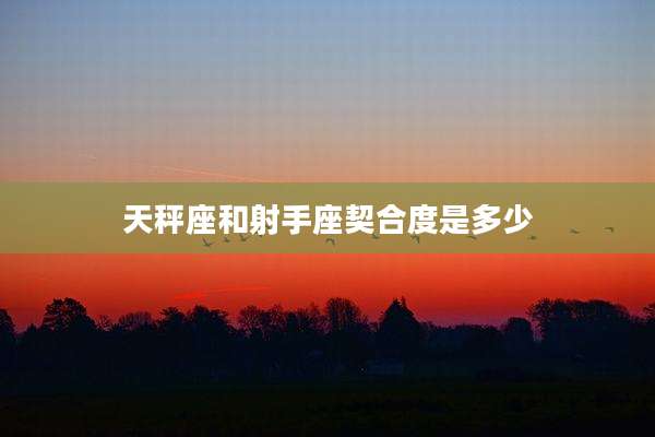 天秤座和射手座契合度是多少