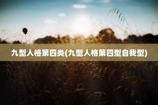 九型人格第四类(九型人格第四型自我型)