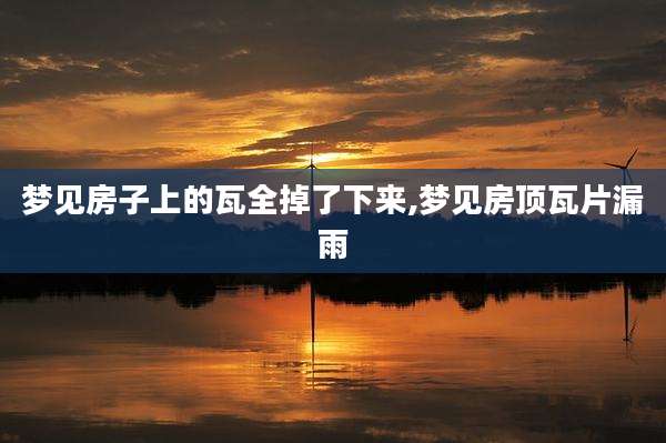 梦见房子上的瓦全掉了下来,梦见房顶瓦片漏雨