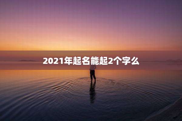 2021年起名能起2个字么