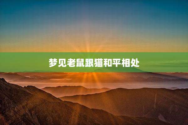 梦见老鼠跟猫和平相处