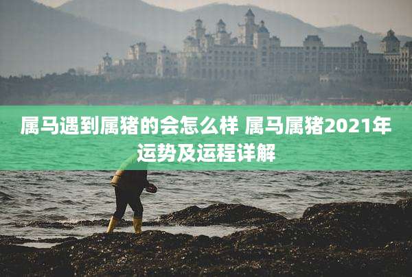 属马遇到属猪的会怎么样 属马属猪2021年运势及运程详解