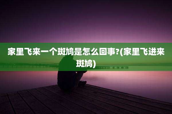 家里飞来一个斑鸠是怎么回事?(家里飞进来斑鸠)