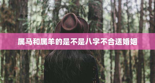 属马和属羊的是不是八字不合适婚姻