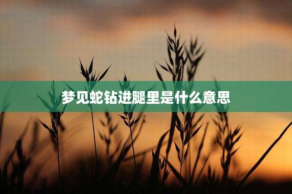梦见蛇钻进腿里是什么意思