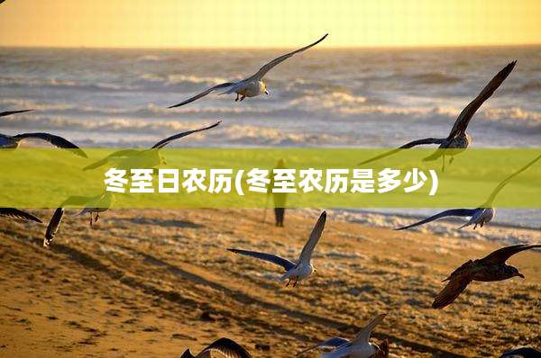 冬至日农历(冬至农历是多少)