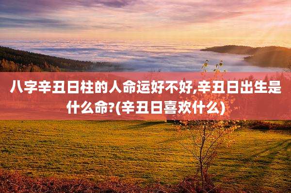 八字辛丑日柱的人命运好不好,辛丑日出生是什么命?(辛丑日喜欢什么)
