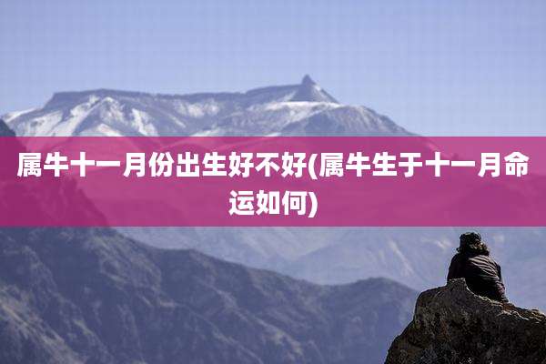 属牛十一月份出生好不好(属牛生于十一月命运如何)