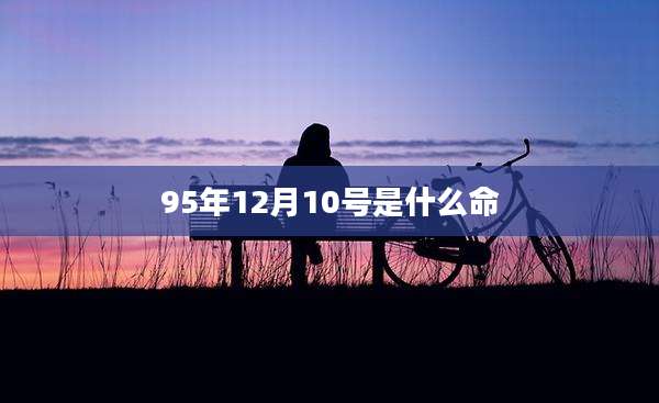 95年12月10号是什么命