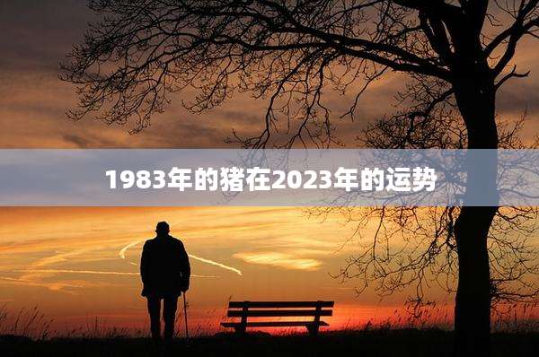1983年的猪在2023年的运势