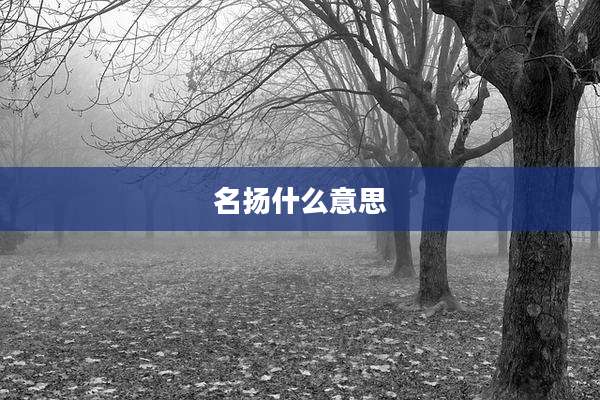 名扬什么意思