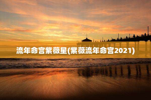 流年命宫紫薇星(紫薇流年命宫2021)