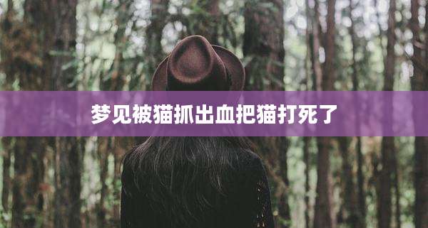 梦见被猫抓出血把猫打死了